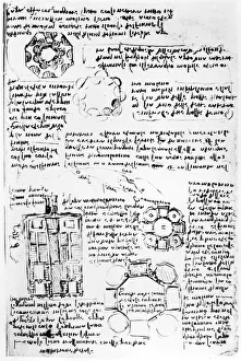 Design for a palace and park (Romorantin), fol. 270v from the Codex Arundel, c Design for a palace and park (Romorantin), fol. 270v from the Codex Arundel, c