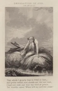 Desolation of Job, Job III, ver 25 (engraving) Desolation of Job, Job III, ver 25 (engraving)