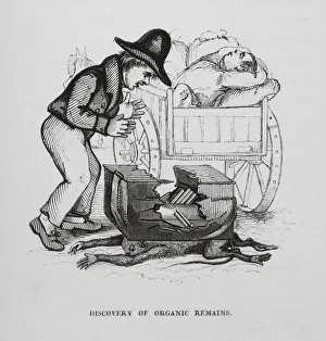 Corpses Gallery: Discovery in Organic Remains (engraving)