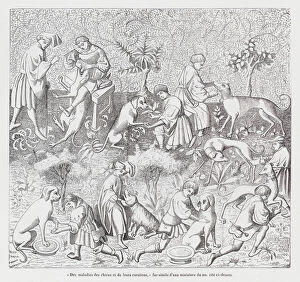 Diseases of dogs and their treatments (engraving)