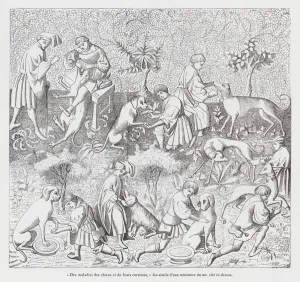 Diseases of dogs and their treatments (engraving) Diseases of dogs and their treatments (engraving)