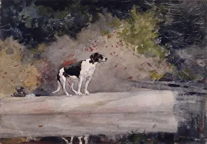 Dog on a Log, 1889 (w/c & graphite on wove paper) Dog on a Log, 1889 (w/c & graphite on wove paper)
