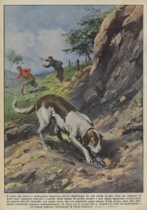 St Bernard Gallery: The dog that saves the owner (colour litho)