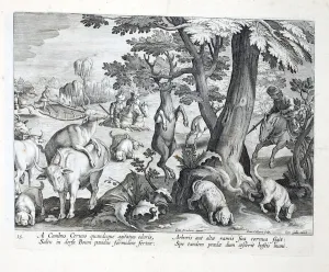 Dogs pursue deer by scent, one jumps in terror, fixing its antlers onto the tall branches Dogs pursue deer by scent, one jumps in terror, fixing its antlers onto the tall branches