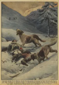 St Bernard Gallery: The dogs that save (colour litho)