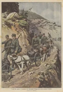 Dogs at war, transporting water supplies to our advanced positions (colour litho) Dogs at war, transporting water supplies to our advanced positions (colour litho)