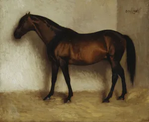 Dollar, A bay hunter in a Loose Box, (oil on canvas) Dollar, A bay hunter in a Loose Box, (oil on canvas)