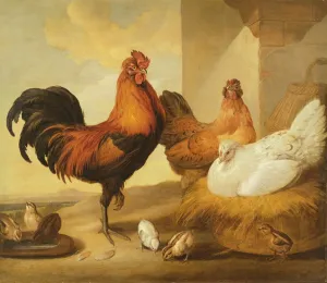 Domestic Cock, Hens and Chicks, 1655 (oil on canvas) Domestic Cock, Hens and Chicks, 1655 (oil on canvas)