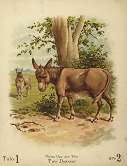 Basis Gallery: Two Donkeys (chromolitho)