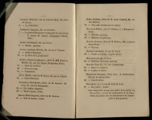 Double Page from the Salon des Refuses, 1863 (litho) Double Page from the Salon des Refuses, 1863 (litho)
