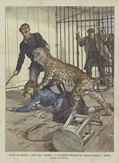 The Dramas Of The Menagerie, The Beginning To The Career Of A Young Tamer In The Ehlbeck Menagerie