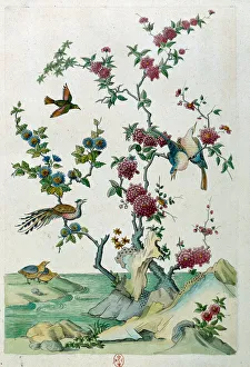 Drawing from a Chinese vase: birds and flowers. Painting by Jean Antoine Fraisse Drawing from a Chinese vase: birds and flowers. Painting by Jean Antoine Fraisse