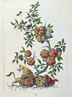 Drawing from a Chinese vase: branch of flowers. Painting by Jean Antoine Fraisse Drawing from a Chinese vase: branch of flowers. Painting by Jean Antoine Fraisse
