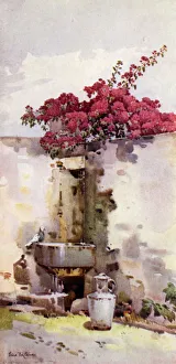 Ella Du Cane Gallery: A Drinking Fountain (colour litho)