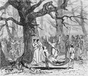 Druids Collecting Mistletoe in the Forest (engraving) Druids Collecting Mistletoe in the Forest (engraving)