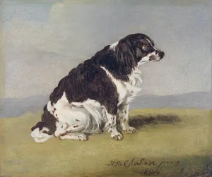 The Duchess of Yorks Spaniel, 1804 (oil on millboard) The Duchess of Yorks Spaniel, 1804 (oil on millboard)