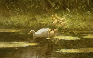 Henry John Sylvester Stannard Gallery: Duck with Ducklings on the Riverbank (oil on canvas)