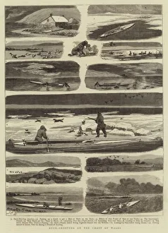 Duck-Shooting on the Coast of Wales (engraving) Duck-Shooting on the Coast of Wales (engraving)