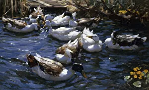Ducks in the Reeds under the Boughs, (oil on canvas)