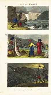 Related Images Collection: Ducks on the sacred lake on Comoro Island 61, Solomons merchants buying ivory
