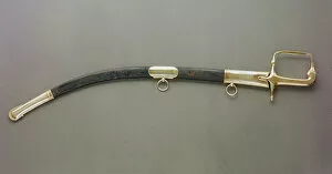 Images Dated 24th June 2011: The Duke of Wellingtons Sword (metal and leather)