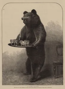 Duke Of Edinburgh Gallery: A Dumb Waiter (engraving)