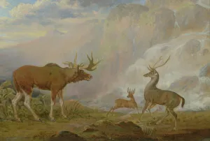 Earl of Orford's Elk, Antelope and Stag (oil on canvas) Earl of Orford's Elk, Antelope and Stag (oil on canvas)