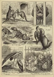 Easter Monday at the Zoological Gardens (engraving)