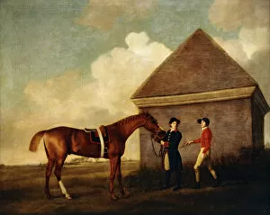 Derby Gallery: Eclipse, a Dark Chestnut Racehorse held by a Groom, with a Jockey