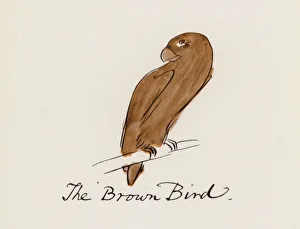 Edward Lear, The Bird Book: The Brown Bird (colour litho) Edward Lear, The Bird Book: The Brown Bird (colour litho)