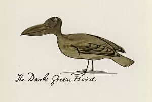 Edward Lear, The Bird Book: The Dark Green Bird (colour litho)