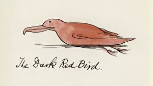 Edward Lear, The Bird Book: The Dark Red Bird (colour litho)
