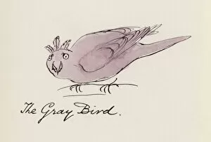 Edward Lear, The Bird Book: The Gray Bird (colour litho)