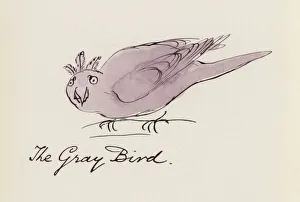 Edward Lear, The Bird Book: The Gray Bird (colour litho) Edward Lear, The Bird Book: The Gray Bird (colour litho)