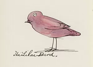 Edward Lear, The Bird Book: The Lilac Bird (colour litho)