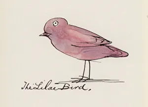 Edward Lear, The Bird Book: The Lilac Bird (colour litho) Edward Lear, The Bird Book: The Lilac Bird (colour litho)