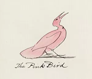 Edward Lear, The Bird Book: The Pink Bird (colour litho)