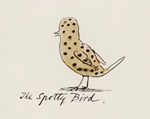 Edward Lear, The Bird Book: The Spotty Bird (colour litho) Edward Lear, The Bird Book: The Spotty Bird (colour litho)