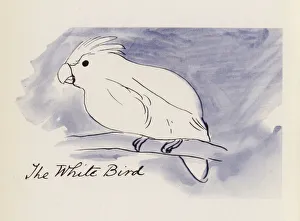 Edward Lear, The Bird Book: The White Bird (colour litho) Edward Lear, The Bird Book: The White Bird (colour litho)