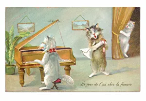 Edwardian postcard of a cat playing the piano and the other singing while a third is Edwardian postcard of a cat playing the piano and the other singing while a third is