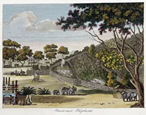 Elephant hunting - ' Le Monde en prints ou Geographie des cinq parts du Elephant hunting - ' Le Monde en prints ou Geographie des cinq parts du
