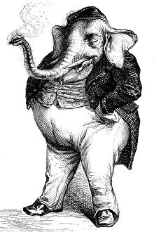 Anthropomorphism Gallery: an elephant (it's a big mistake!). The humanise pachyderm (dresses as human) smokes the cigar
