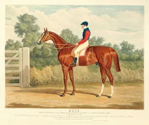 Elis, the Winner of the Great St. Leger Stakes at Doncaster, 1836 Elis, the Winner of the Great St. Leger Stakes at Doncaster, 1836