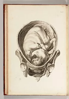 1750s Gallery: Engraving of a child in the womb from A Set of Anatomical Tables, with Explanations