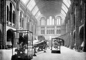 Entrance Hall of the Natural History Museum, South Kensington, London, 1890 (photo) Entrance Hall of the Natural History Museum, South Kensington, London, 1890 (photo)