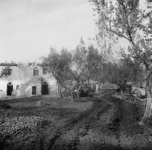 Entrance to the lane, through a minefield, leading up to Licolle Ridge, c Entrance to the lane, through a minefield, leading up to Licolle Ridge, c