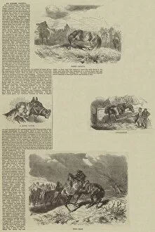 An Equine Career (engraving)