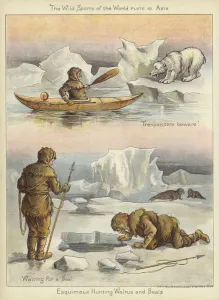 Esquimaux hunting walrus and seals (colour litho) Esquimaux hunting walrus and seals (colour litho)