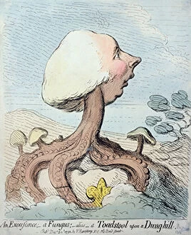 An Excrescence; A Fungus; Alias - A Toadstool upon a Dung-hill