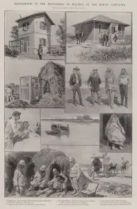 Experiments in the Prevention of Malaria in the Roman Campaign (engraving) Experiments in the Prevention of Malaria in the Roman Campaign (engraving)